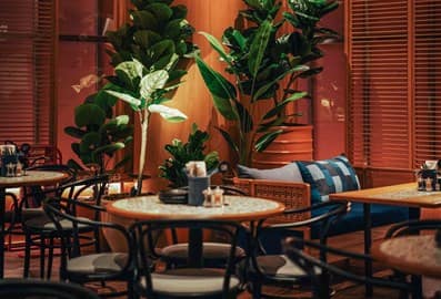 social house dubai mall