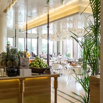 tashas