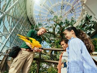 Two young children watching a zookeeper holding two parrots in his hands at The Green Planet.