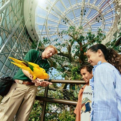 There are loads of great activities for kids this summer in Dubai, including Green Planet.