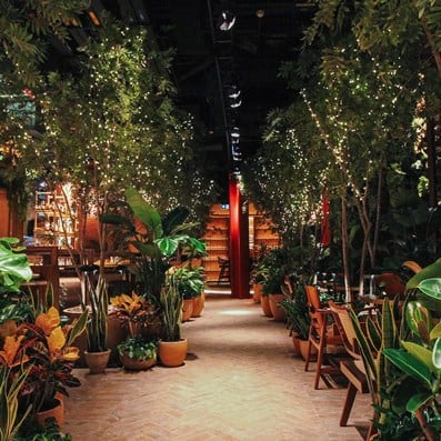 Lush greenery in The Nurseries at The Guild