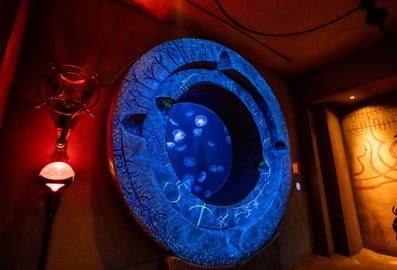 The Lost World Aquarium jellyfish tank