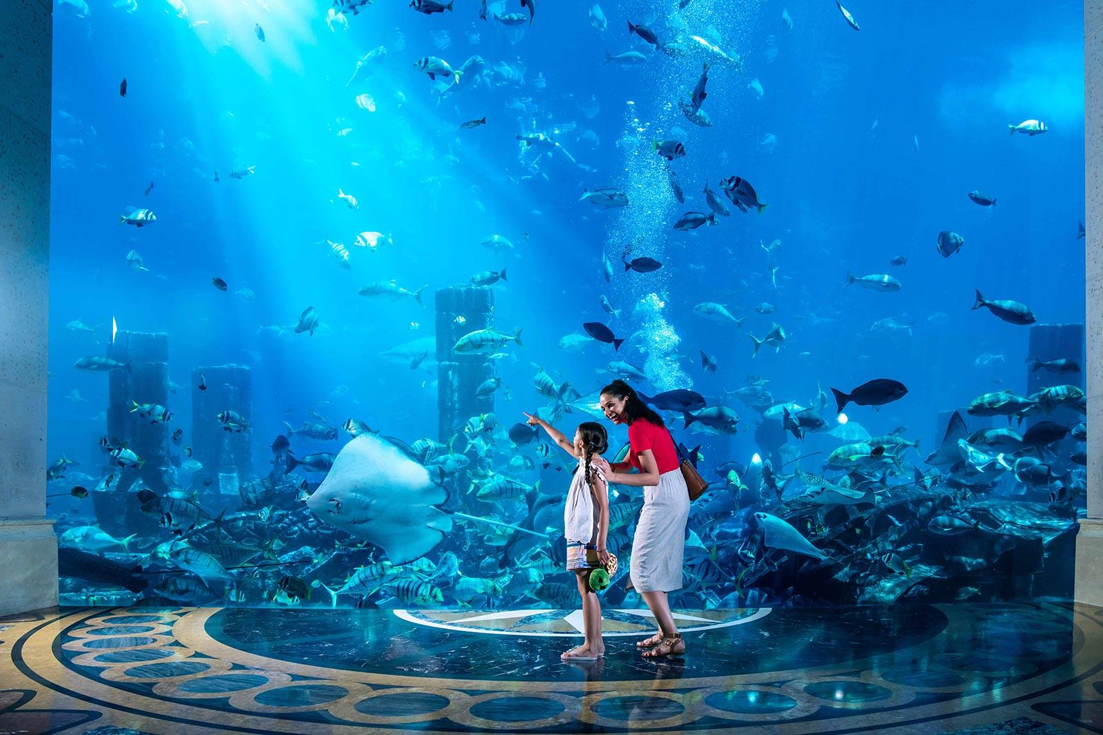 /GatherContent/poi/t/the-lost-chambers-aquarium/fallback-image/the-lost-chambers-aquarium