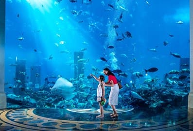 /GatherContent/poi/t/the-lost-chambers-aquarium/fallback-image/the-lost-chambers-aquarium