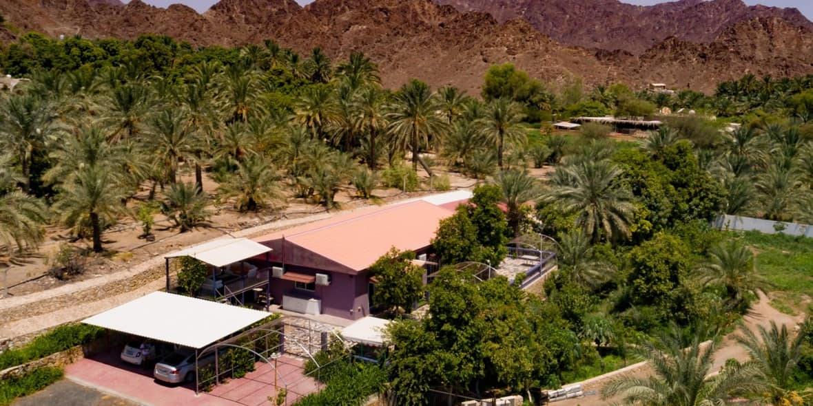 The Reef and Happiness Farm