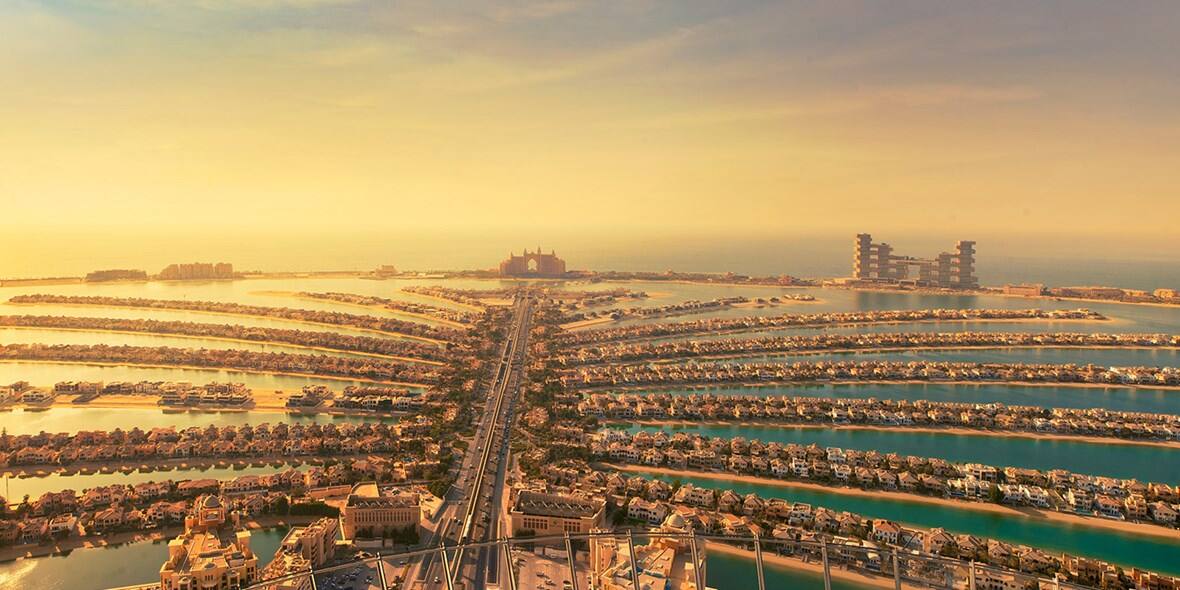 The View at The Palm