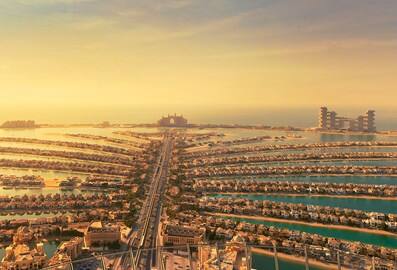 The View at The Palm