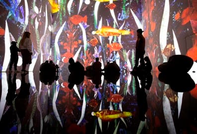 Theatre of Digital Art