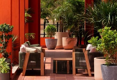 Sun-drenched outdoor terrace at ONA café, featuring bold terracotta columns, green woven lounge chairs, and lush potted palm trees