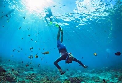 apnea zone diving and snorkelling club