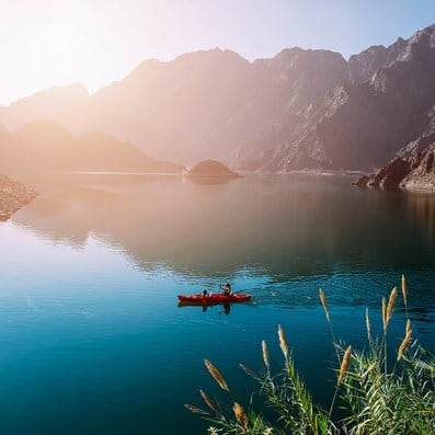 Dubai-presents-nature-3