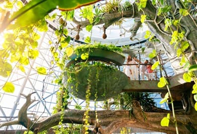 nature-media-green-planet