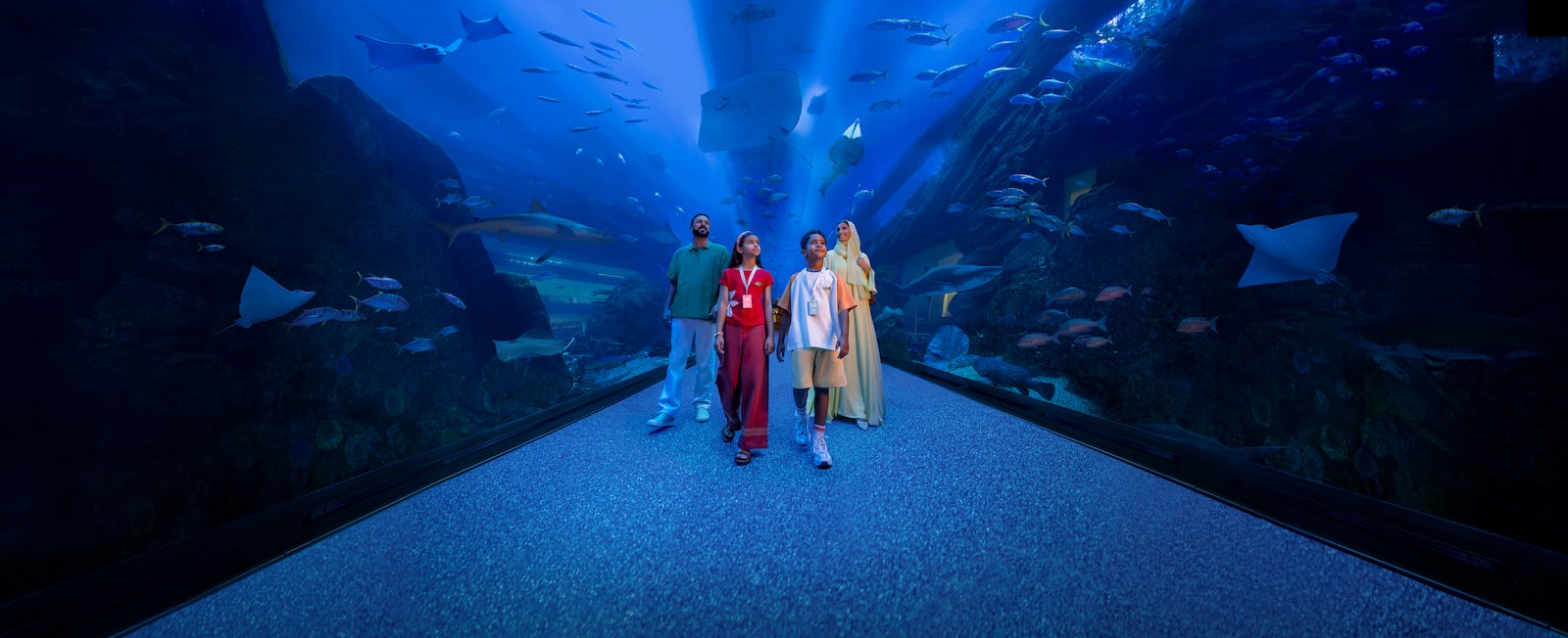 aquarium