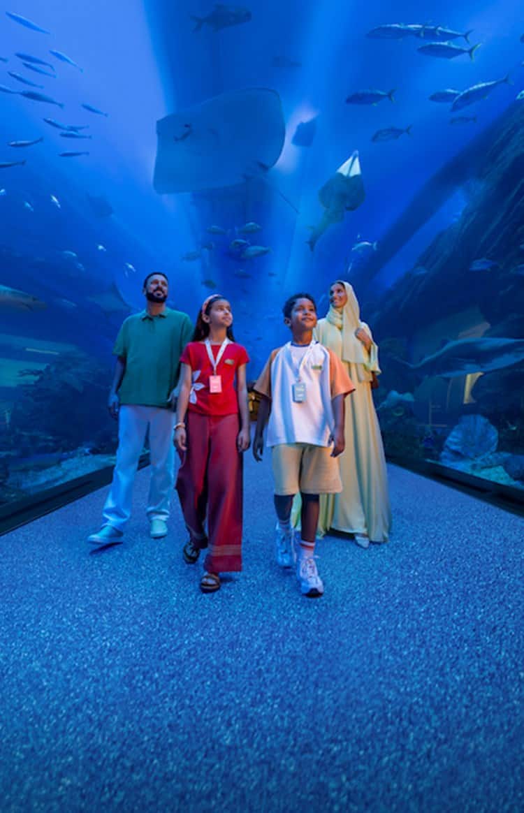 aquarium