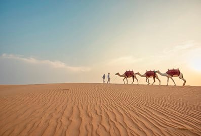 Plaatselijke cultuur en erfgoed