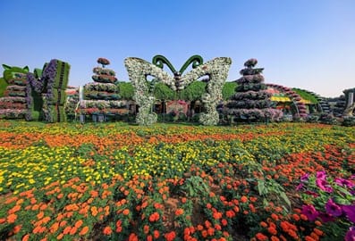 Miracle Garden