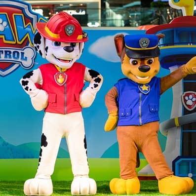 Paw Patrol City Centre Mirdif kids show