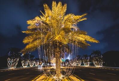 hero-dsf-light-1560x1000