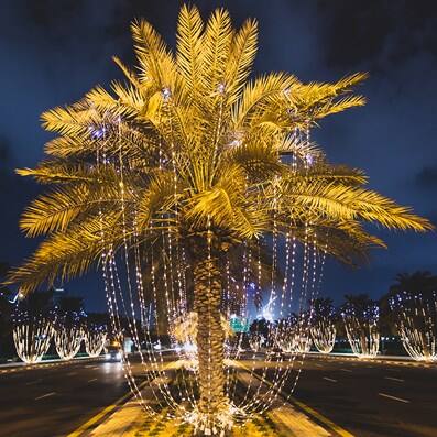 hero-dsf-light-1560x1000