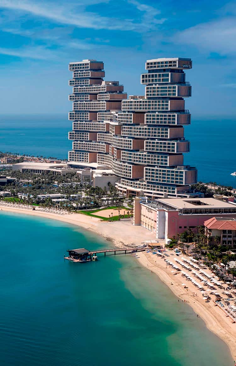 desert-winter-friends