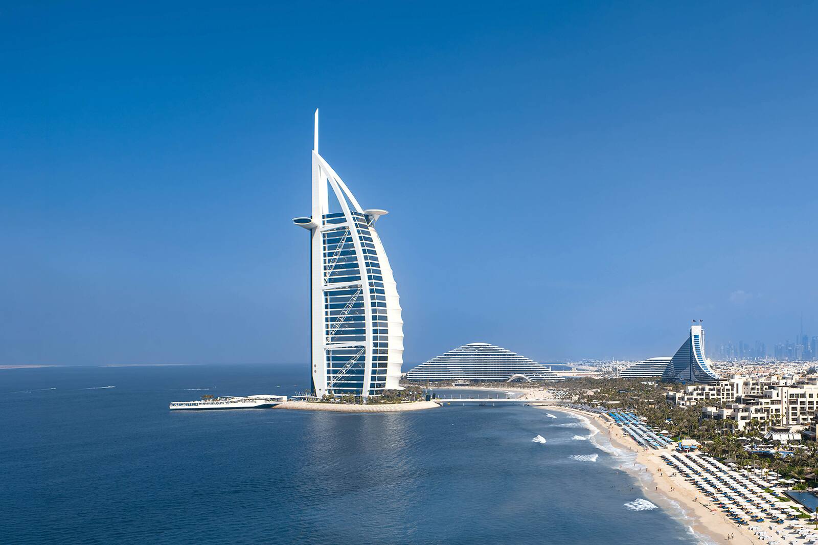 desert-winter-friends