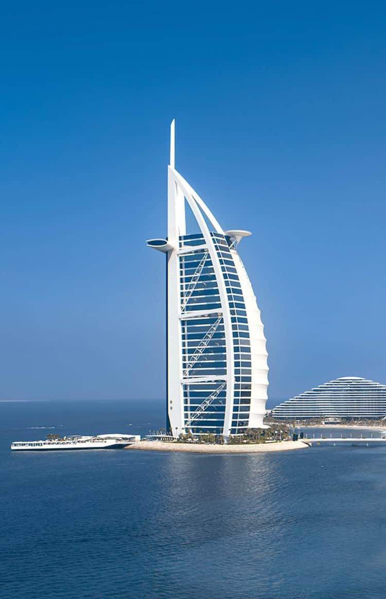 desert-winter-friends