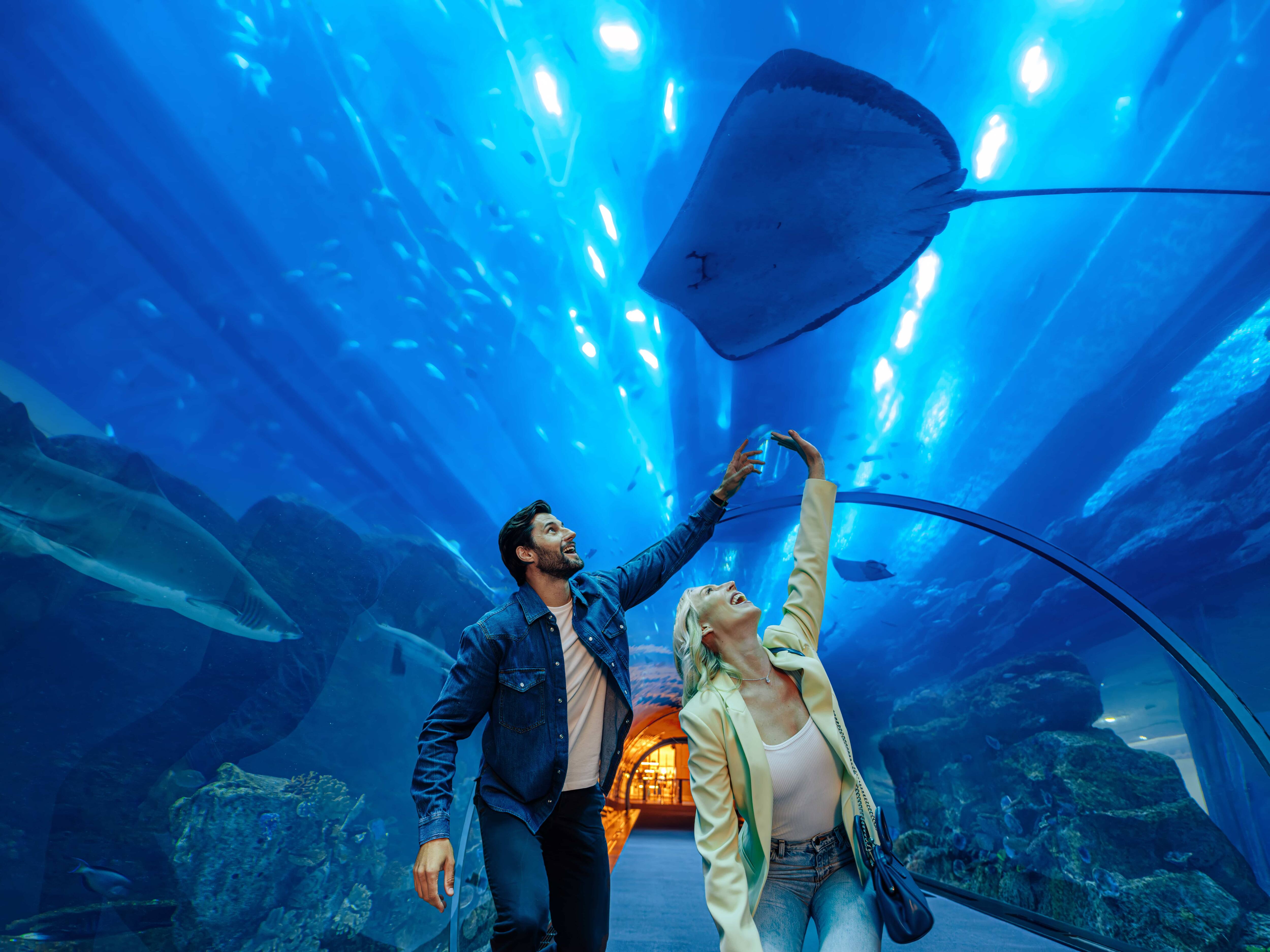 Dubai Aquarium
