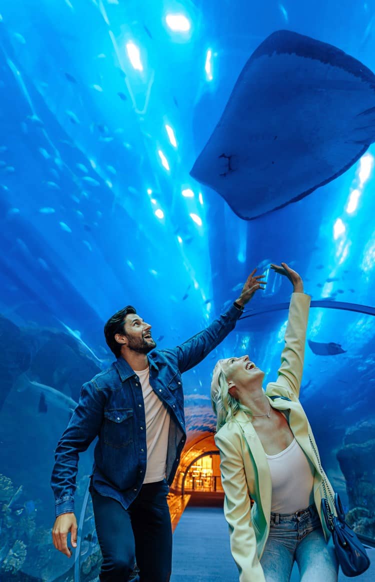 Dubai Aquarium