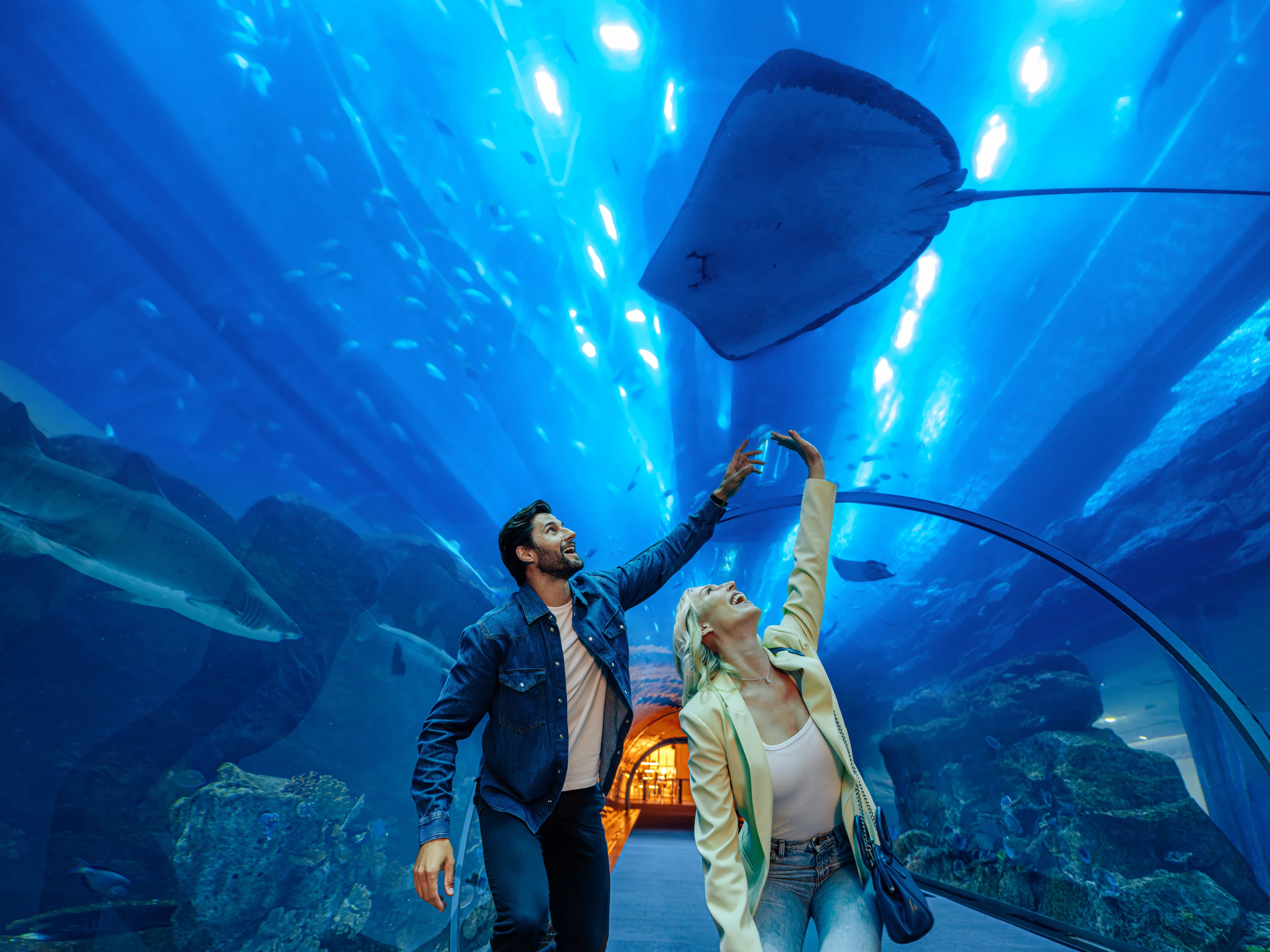 Dubai Aquarium