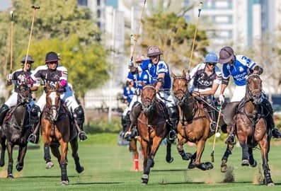 Al Habtoor Polo Tournaments