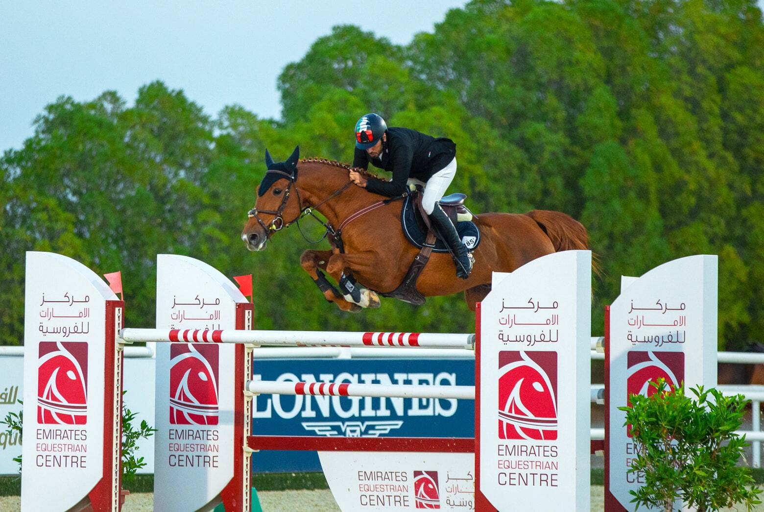 February events at the Emirates Equestrian Centre Visit Dubai