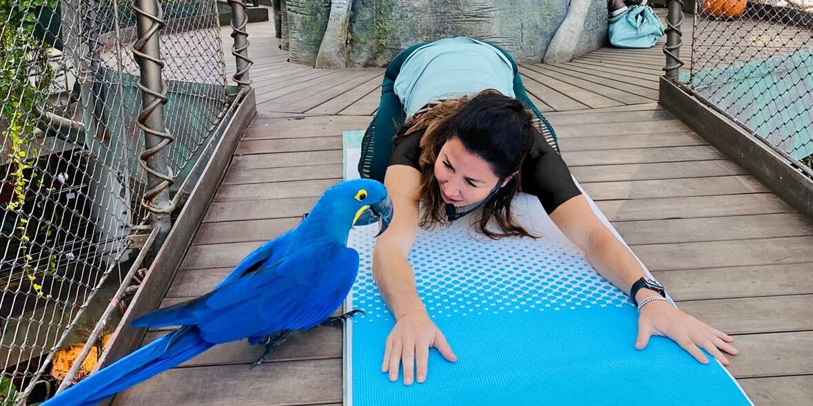 Yoga at The Green Planet