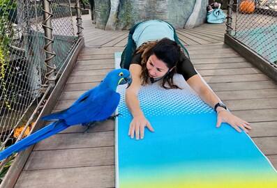 Yoga at The Green Planet