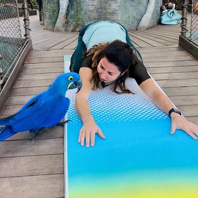 Yoga at The Green Planet