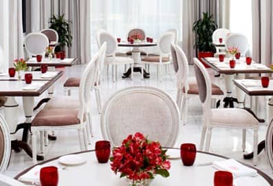 Banner Image (Desktop)