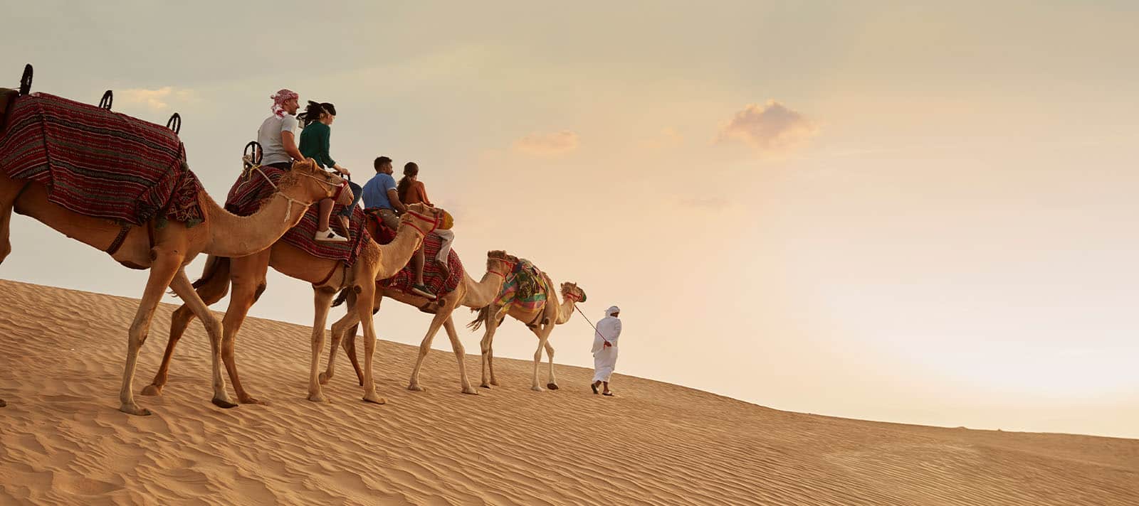 Summer desert safari in Dubai, Activities in Dubai