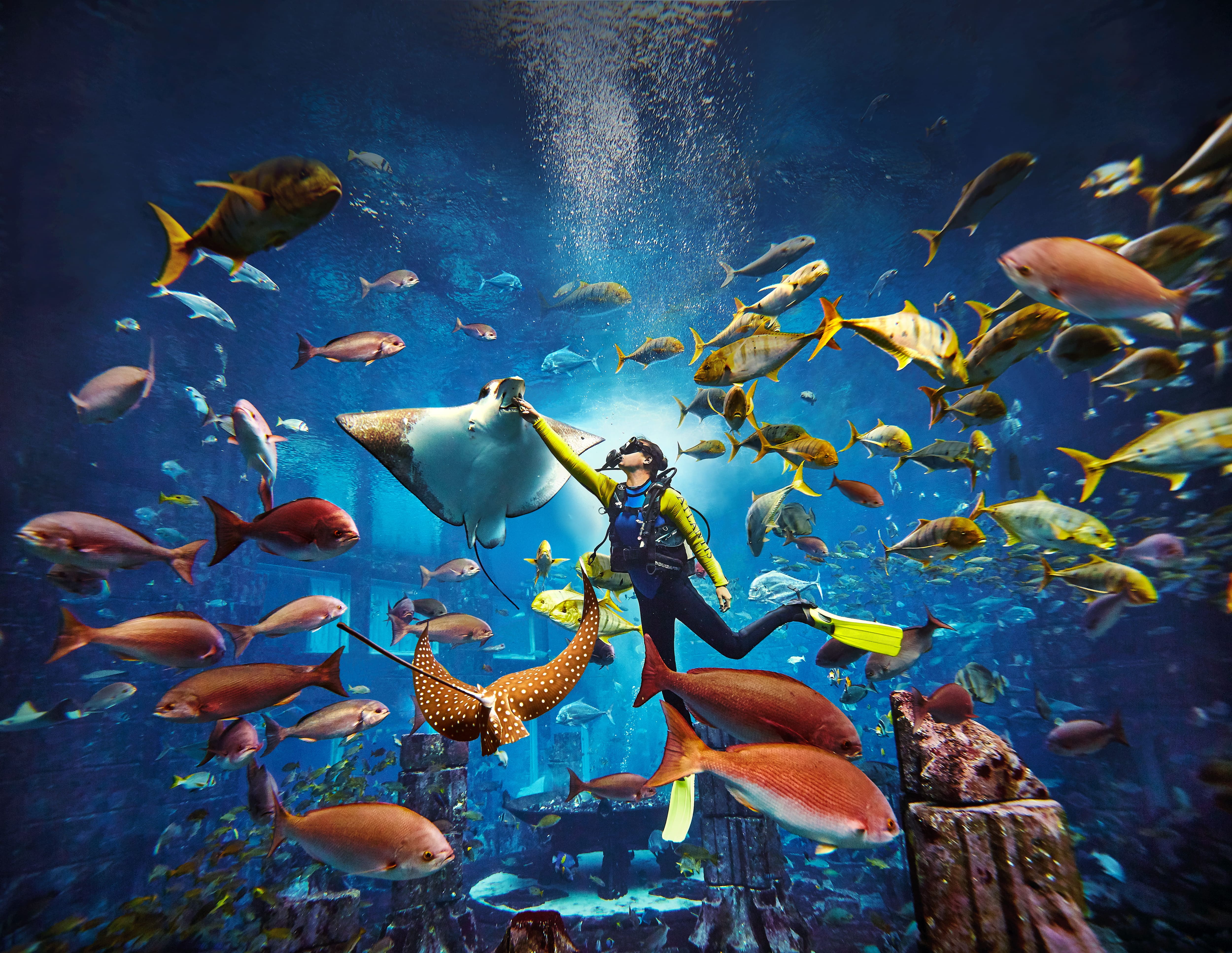 scuba-diving-dubai-aquarium-lost-chambers-1
