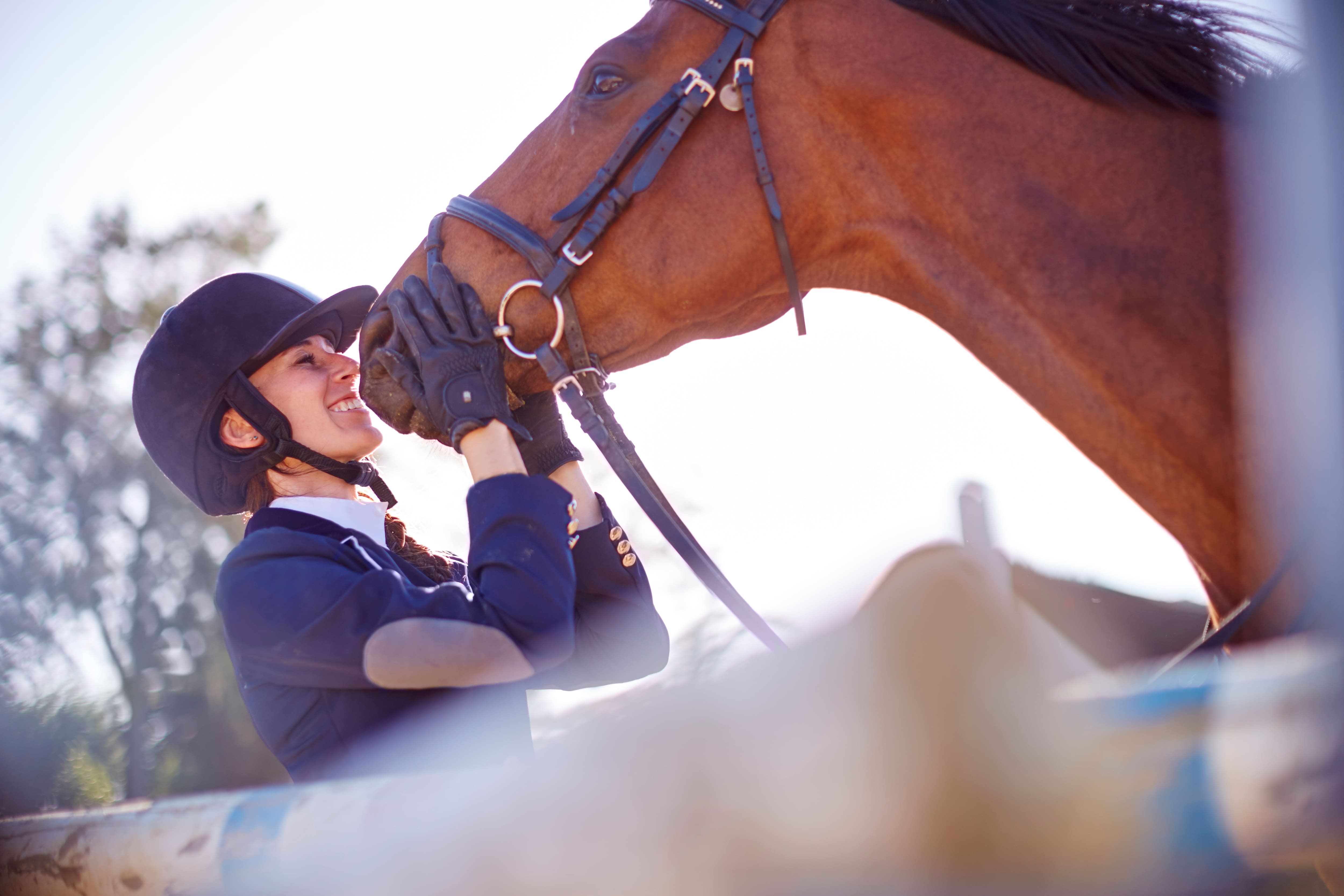 Al Ahli Horse Riding Club in Dubai