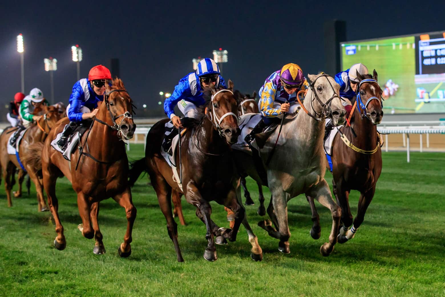 Dubai World Cup Duba