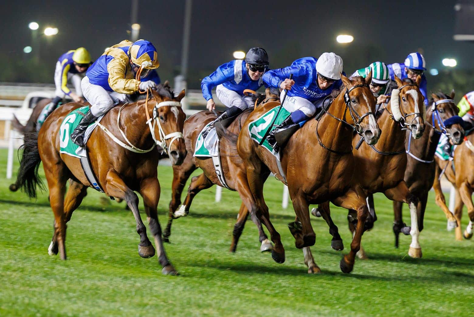 Attend Dubai World Cup 2026 at Meydan | Visit Dubai